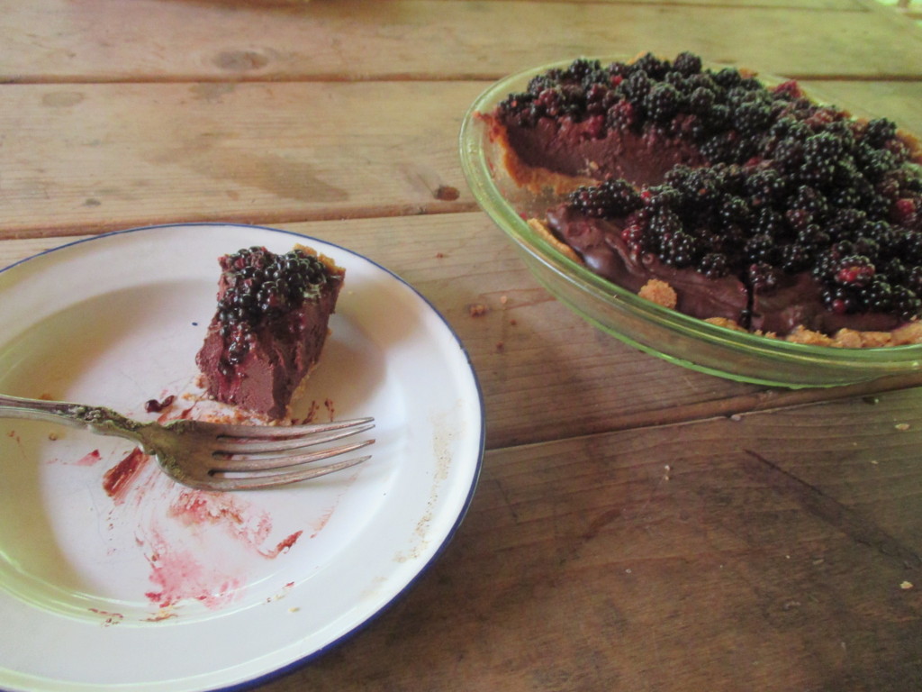 blackberrytart.jpg