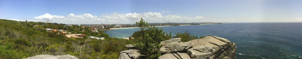 Manly beach panorama