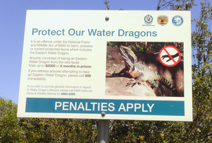 Protect Our Water Dragons sign