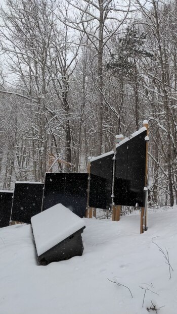6 inches of snow covering some ground mount solar panels with a vertical solar panel fence behind them free of snow except cute little caps