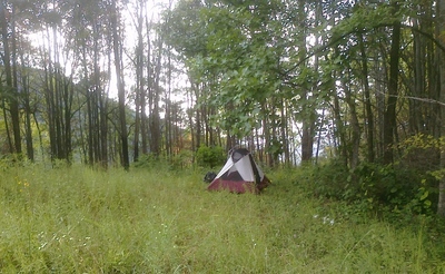 tent under trees