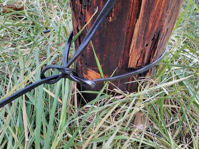 phone cable tied to pole