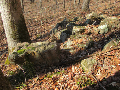 hillside strewn in large rocks
with trees wherever there are not rocks